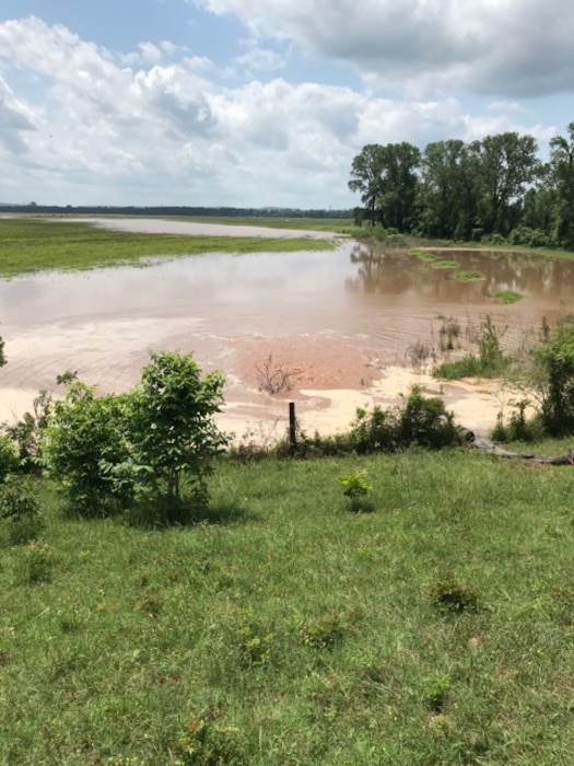 Conway County Levee District No. 6 after Spring 2019 Arkansas River Flood.
