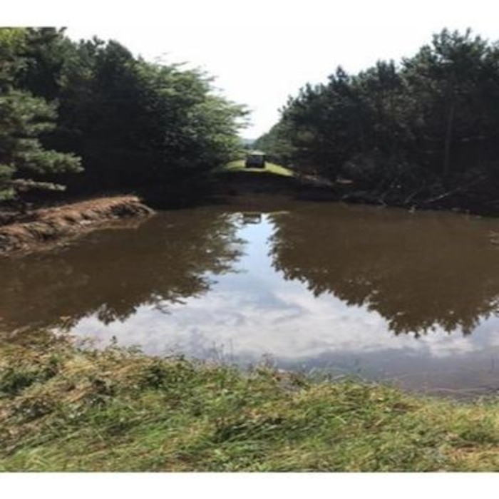 Perry County Levee after Spring 2019 Arkansas River Flood.