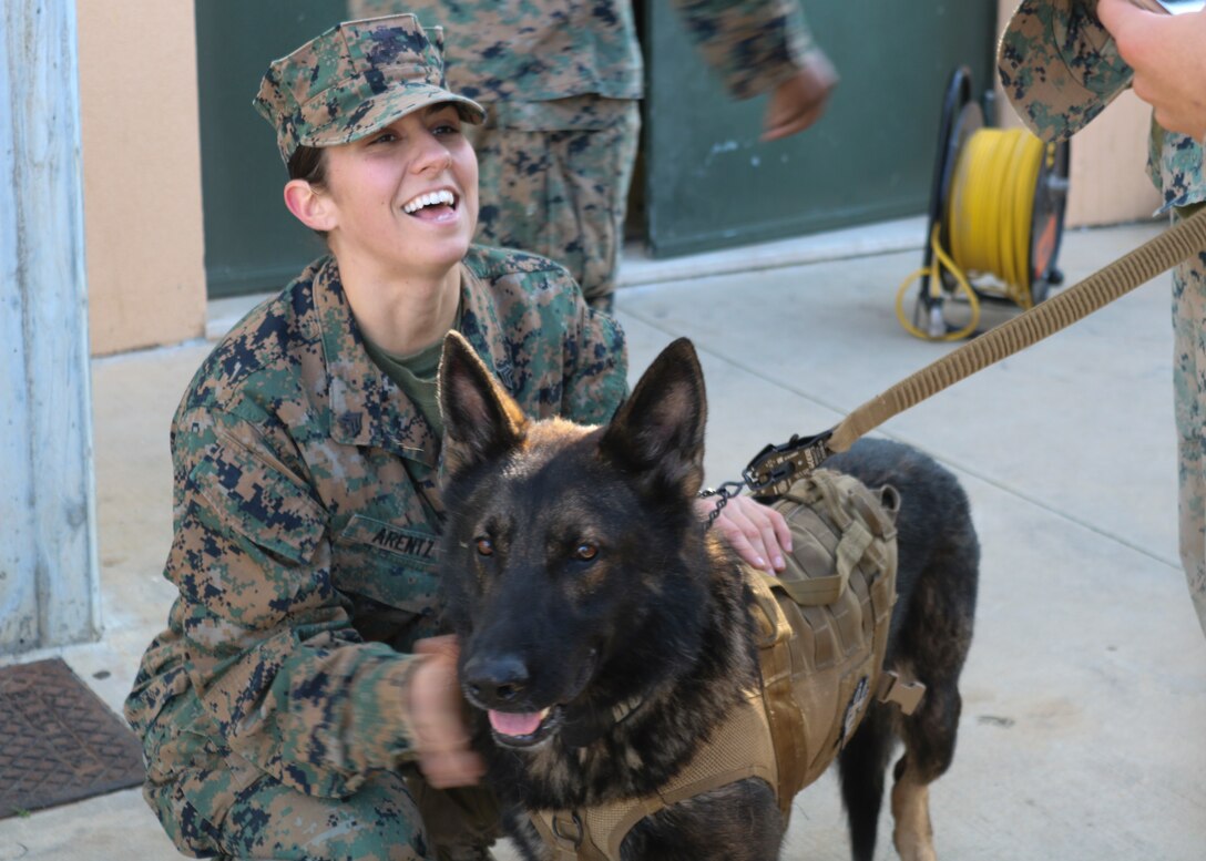 U.S. Marines with Special Purpose Marine Air-Ground Task Force - Crisis Response - Africa 20.1, Marine Forces Europe and Africa, participate in a canine tracking exercise in Sigonella, Italy, Dec. 30, 2019. SPMAGTF-CR-AF is deployed to conduct crisis-response and theater-security operations in Africa and promote regional stability by conducting military-to-military training exercises throughout Europe and Africa. (U.S. Marine Corps photo by 2nd Lt. Grace Jenkins)