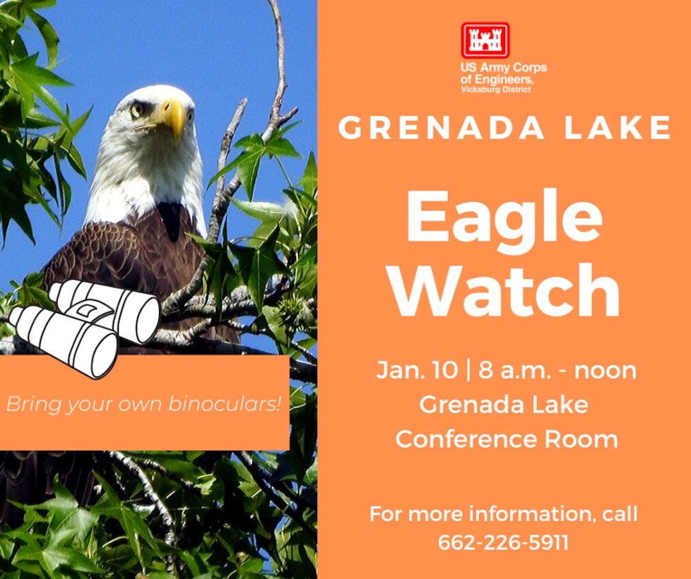 VICKSBURG, Miss. – The U.S. Army Corps of Engineers (USACE) Vicksburg District’s north Mississippi lakes will each hold their midwinter bald eagle survey, Eagle Watch, in January.

The Grenada Lake Eagle Watch will take place Jan. 10 from 8 a.m. to noon. Volunteers will meet at the Grenada Lake conference room, located across the street from the visitor center, before the survey begins.

The Arkabutla Lake Eagle Watch will take place Jan. 11 from 7 a.m. to 10 a.m. Volunteers will meet at the Arkabutla Lake Field Office before the survey begins. After the survey, volunteers are invited to return to the field office for a live Birds of Prey program presented by Mississippi Wildlife Rehabilitation.