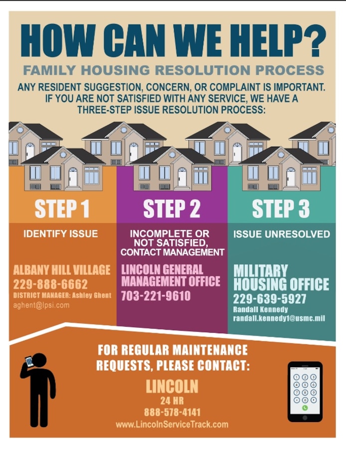 Albany Housing Resolution Flyer