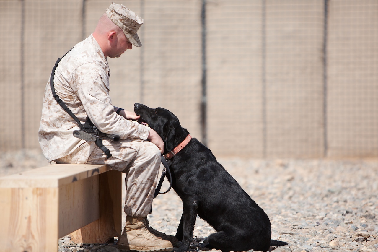 A Marine sits on a wooden bench in gravel, petting a black Labrador retriever whose chin is in the Marine’s lap.