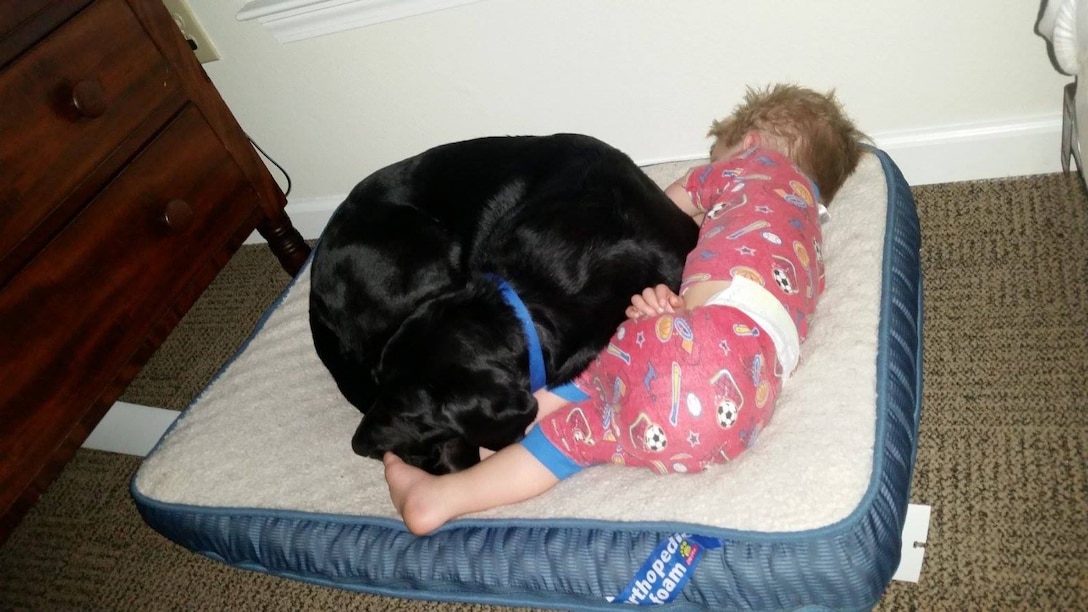 A toddler in pajamas lays up against a black dog curled up on a dog bed. Both appear to be sleeping.