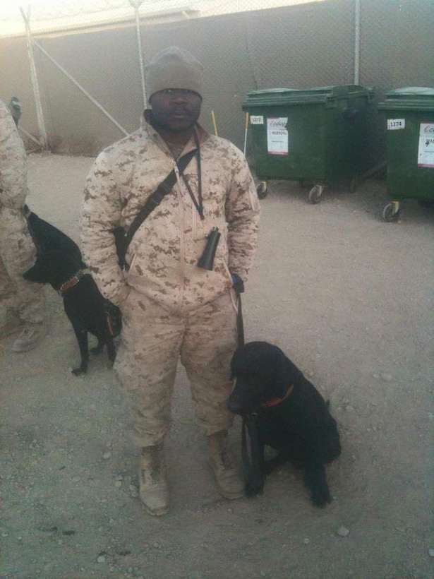 A Marine stands in a desert encampment with his military working dog.