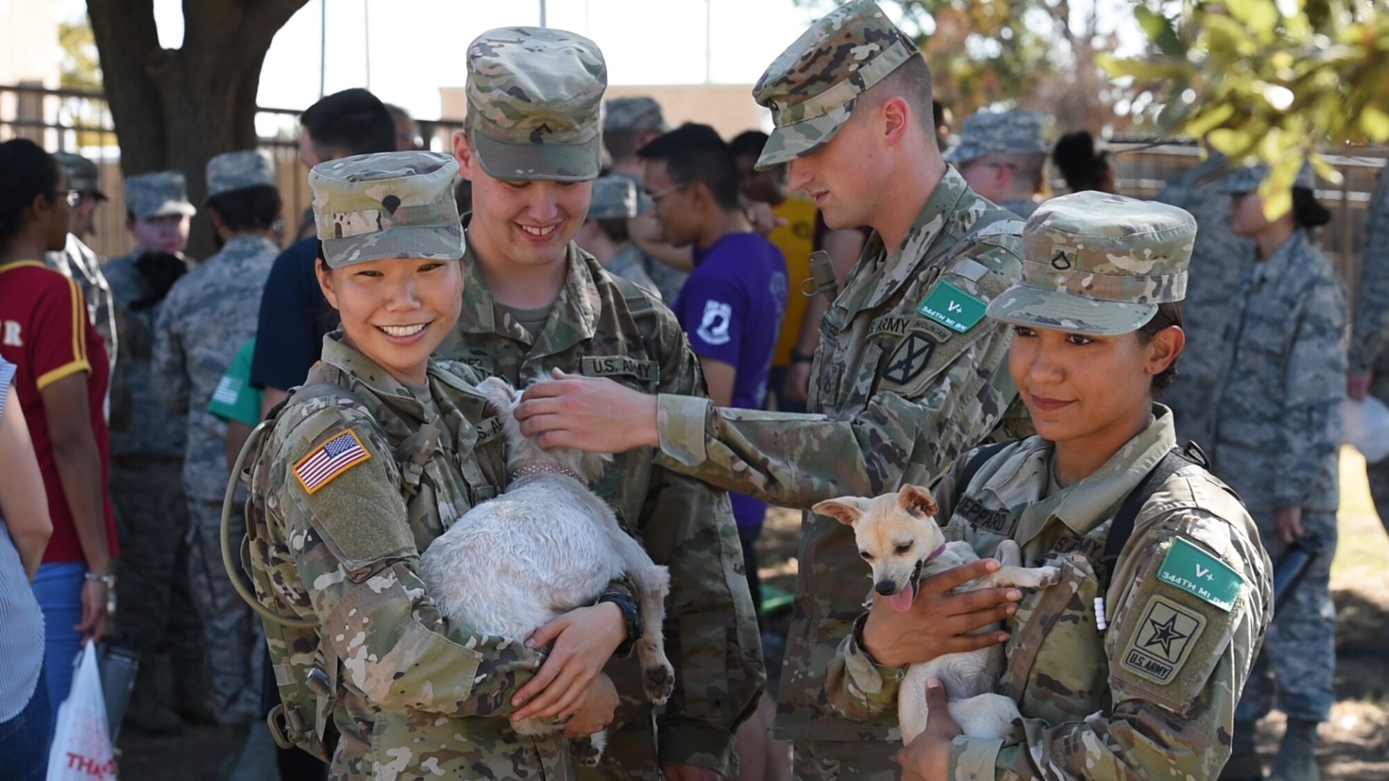 U.S. Army soldiers take time during their lunch to visit Cassie’s Place Canine-Assisted Relief and Emotional Support program, at Western Winds dining facility, Goodfellow Air Force Base, Texas, Sept. 26, 2019. Cassie’s Place C.A.R.E.S is a program focused on bringing dogs and service members together in the hopes of unwinding, de-stressing and giving individuals the chance to connect with someone, or something. (U.S. Air Force photo by Senior Airman Zachary Chapman)
