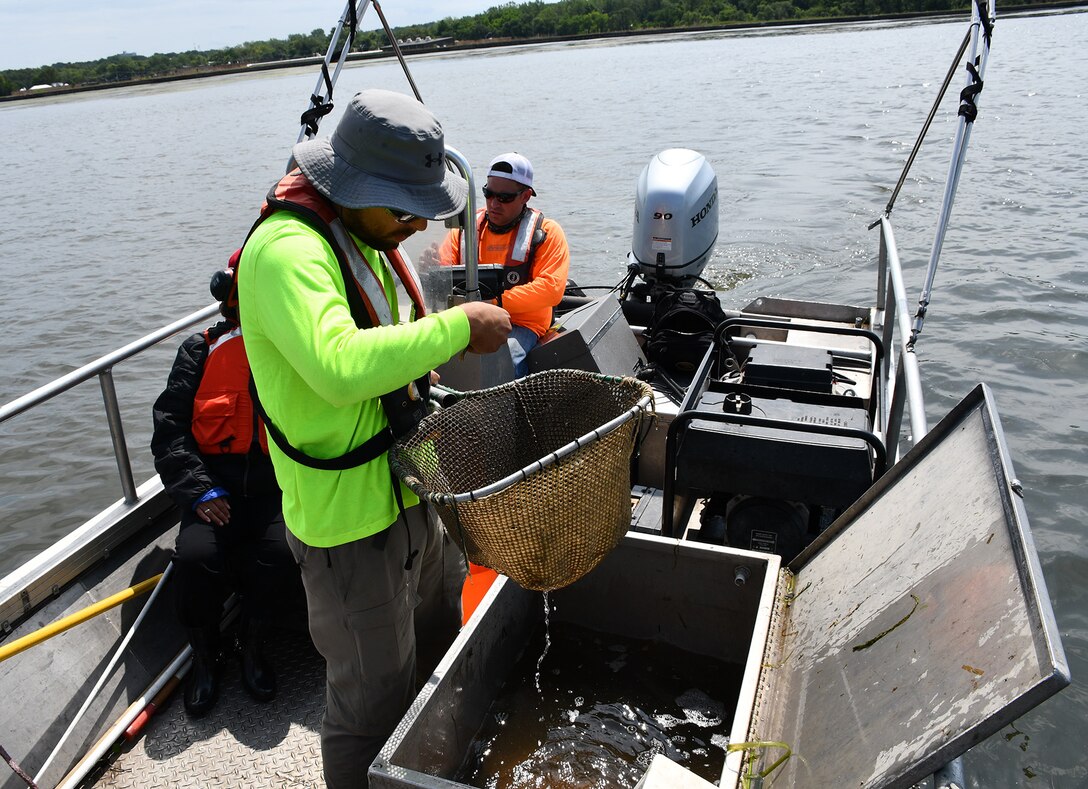 John Belcik, fish biologist and planner, identifies fish that were placed in the boat's live well while Matt Shanks, fish biologist, captures items such as fish species and water temperature on paper, Aug. 16, 2019.