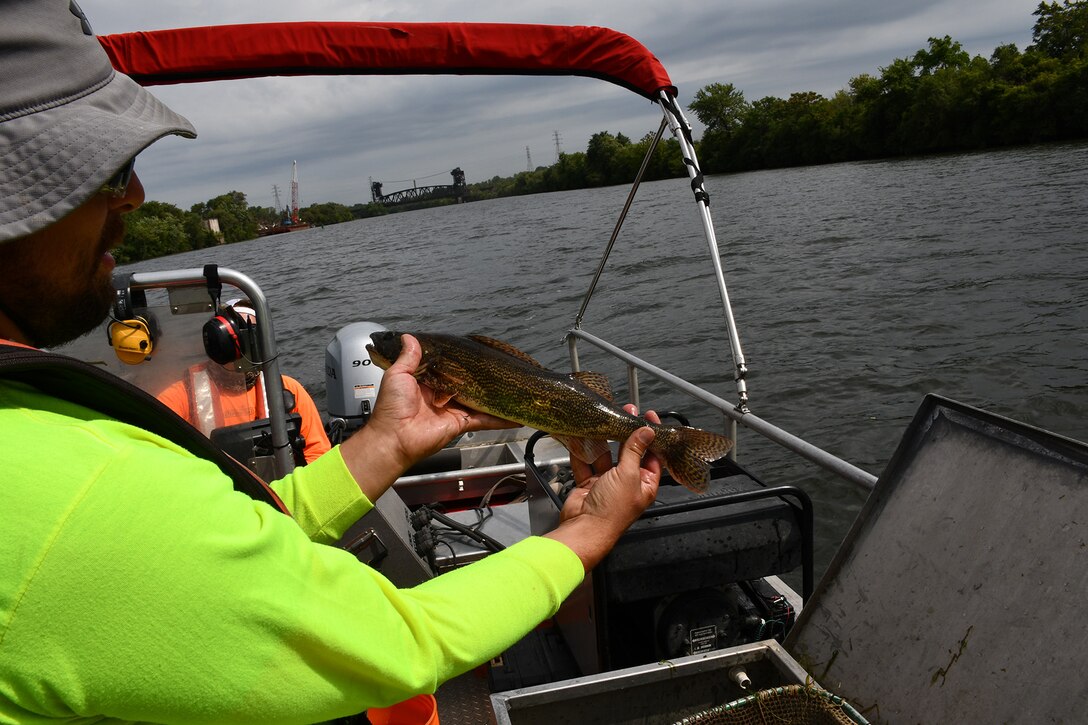 John Belcik, fish biologist and planner, identifies fish that were placed in the boat's live well while Matt Shanks, fish biologist, captures items such as fish species and water temperature on paper, Aug. 16, 2019.