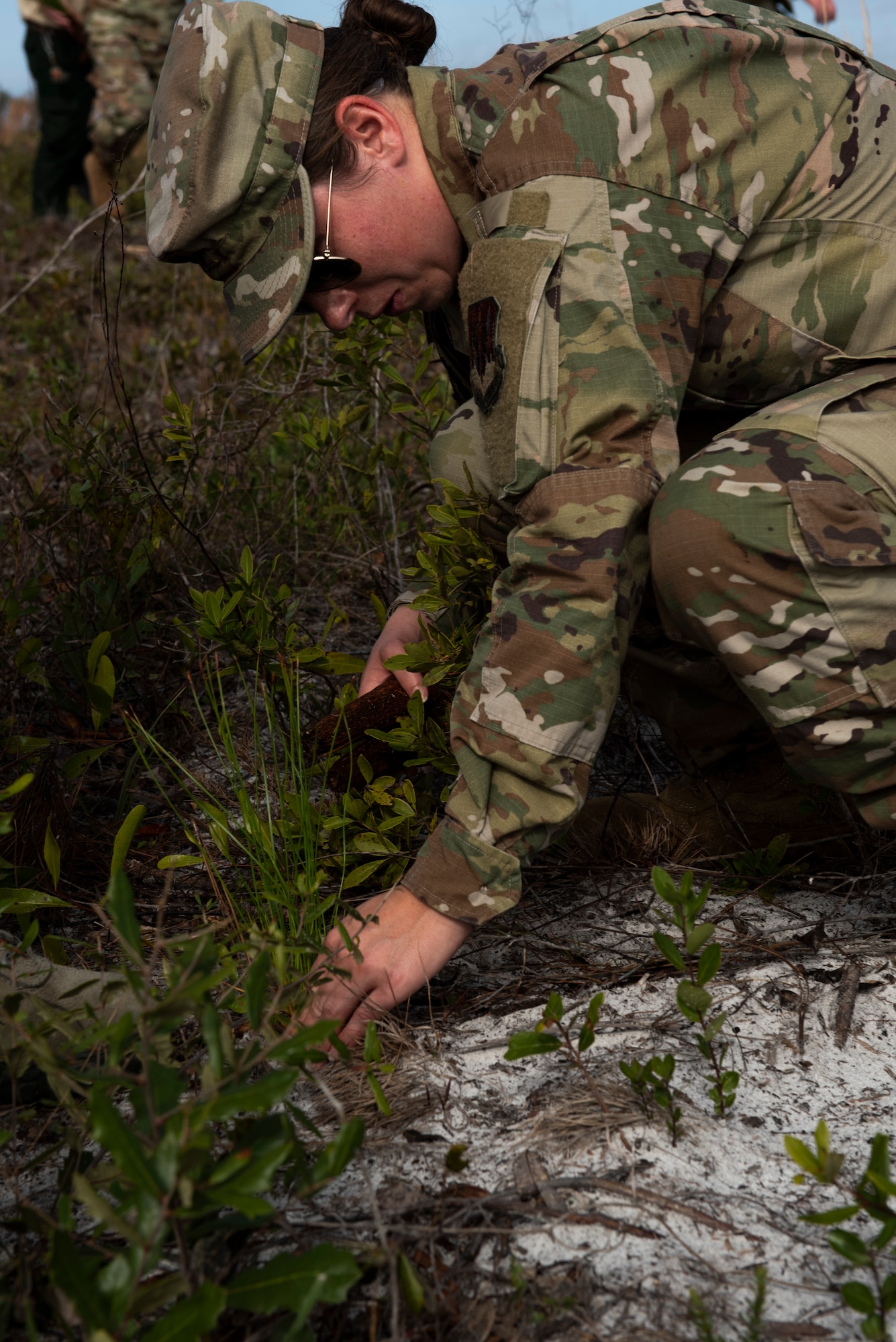 U.S. Air Force 2nd. Lt. Kristina Johnson, 325th Civil Engineer Squadron unit program development officer, plants a longleaf pine tree at Tyndall Air Force Base, Florida, Jan. 15, 2020. The 325th CES, and Department of Defense partners, had cleared 7,500 acres of Tyndall’s land of forest debris, some of which will be used to plant longleaf pine trees to restore the ecosystem. (U.S. Air Force photo by Staff Sgt. Magen M. Reeves)