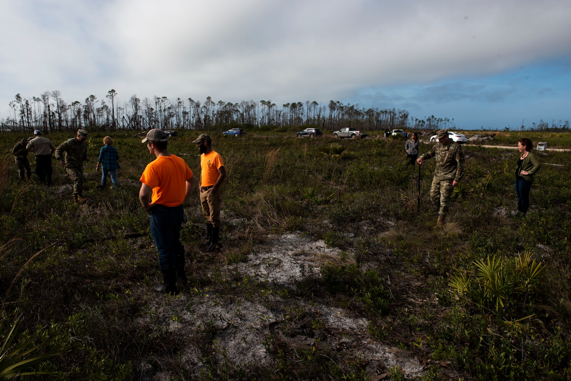 Airmen, their spouses, and civilian partners plant longleaf pine trees at Tyndall Air Force Base, Florida, Jan. 15, 2020. The 325th Civil Engineer Squadron natural resources section, and contracted partners, will begin planting longleaf pine trees along Highway 98 near Fire Station 4 at Silver Flag Road. (U.S. Air Force photo by Staff Sgt. Magen M. Reeves)