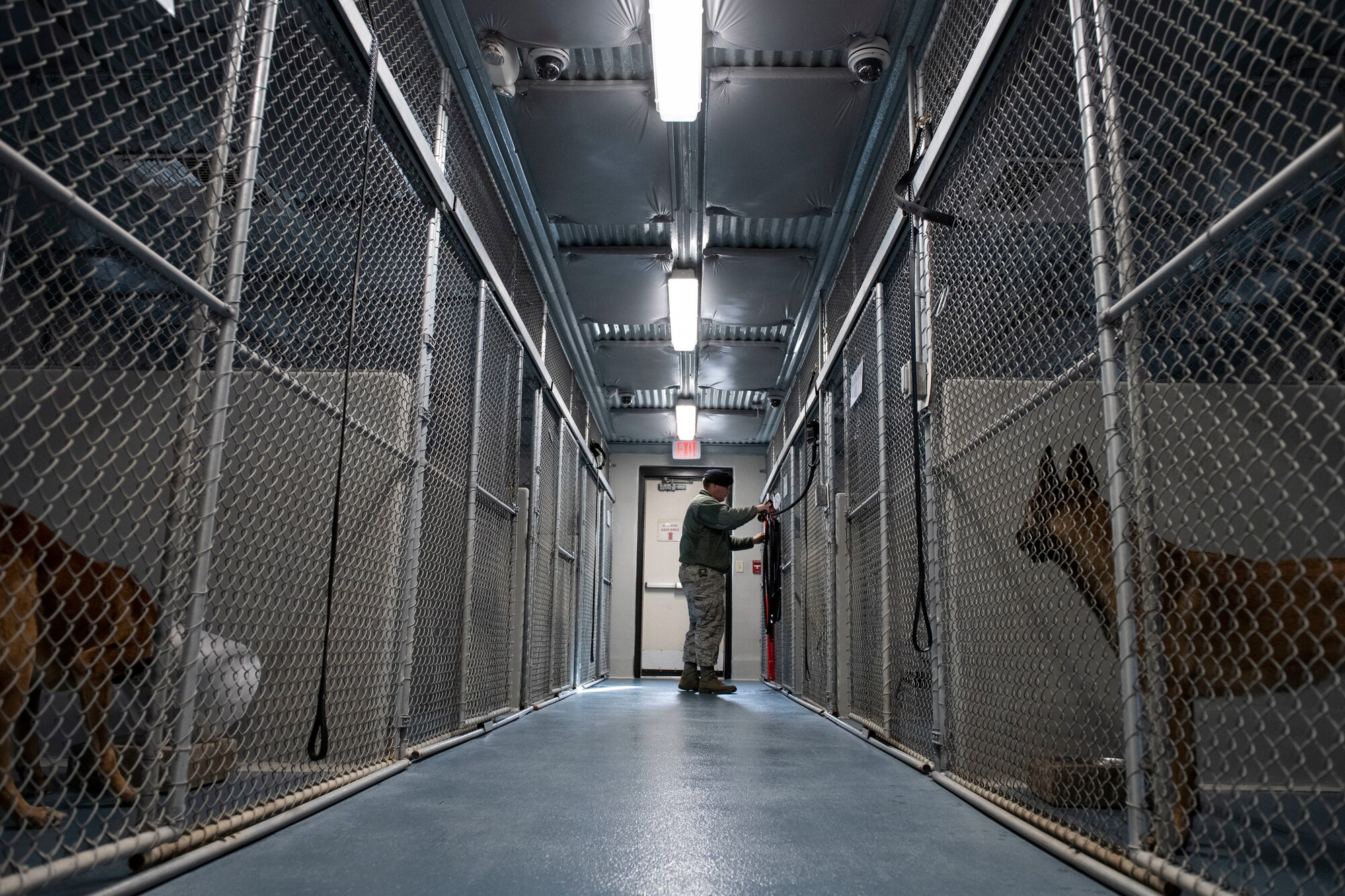 97 SFS renovates MWD kennels.