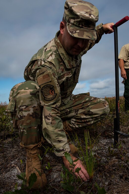 U.S. Air Force Lt. Col. Michael Askegren, 325th Civil Engineer Squadron commander, plants a longleaf pine tree at Tyndall Air Force Base, Florida, Jan. 15, 2020. Askegren, along with several other teammates, planted the first longleaf pines as part of a long term, large scale restoration project to restore Tyndall's ecosystem. (U.S. Air Force photo by Staff Sgt. Magen M. Reeves)