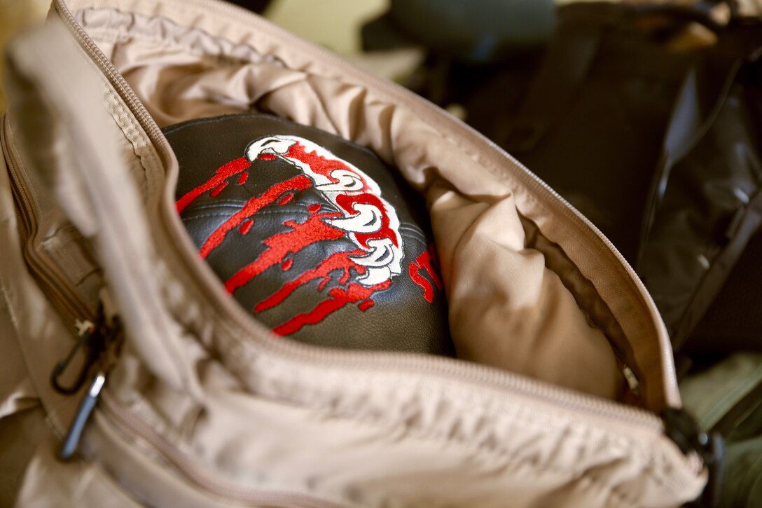 494th Expeditionary Fighter Squadron’s “panther” emblem