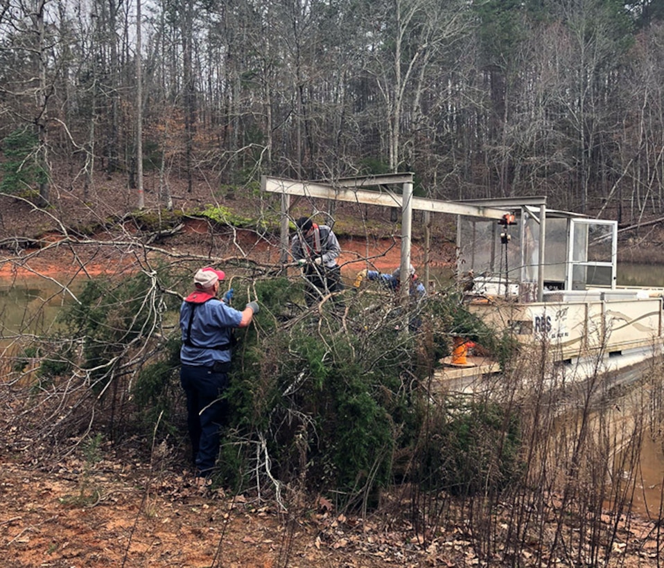 recycling trees at Hartwell lake