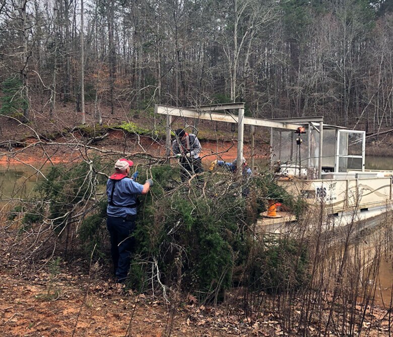 recycling trees at Hartwell lake