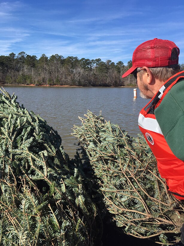 tree recycling at Thurmond lake