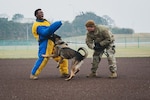 Yokosuka Holds Military Working Dog Joint Training