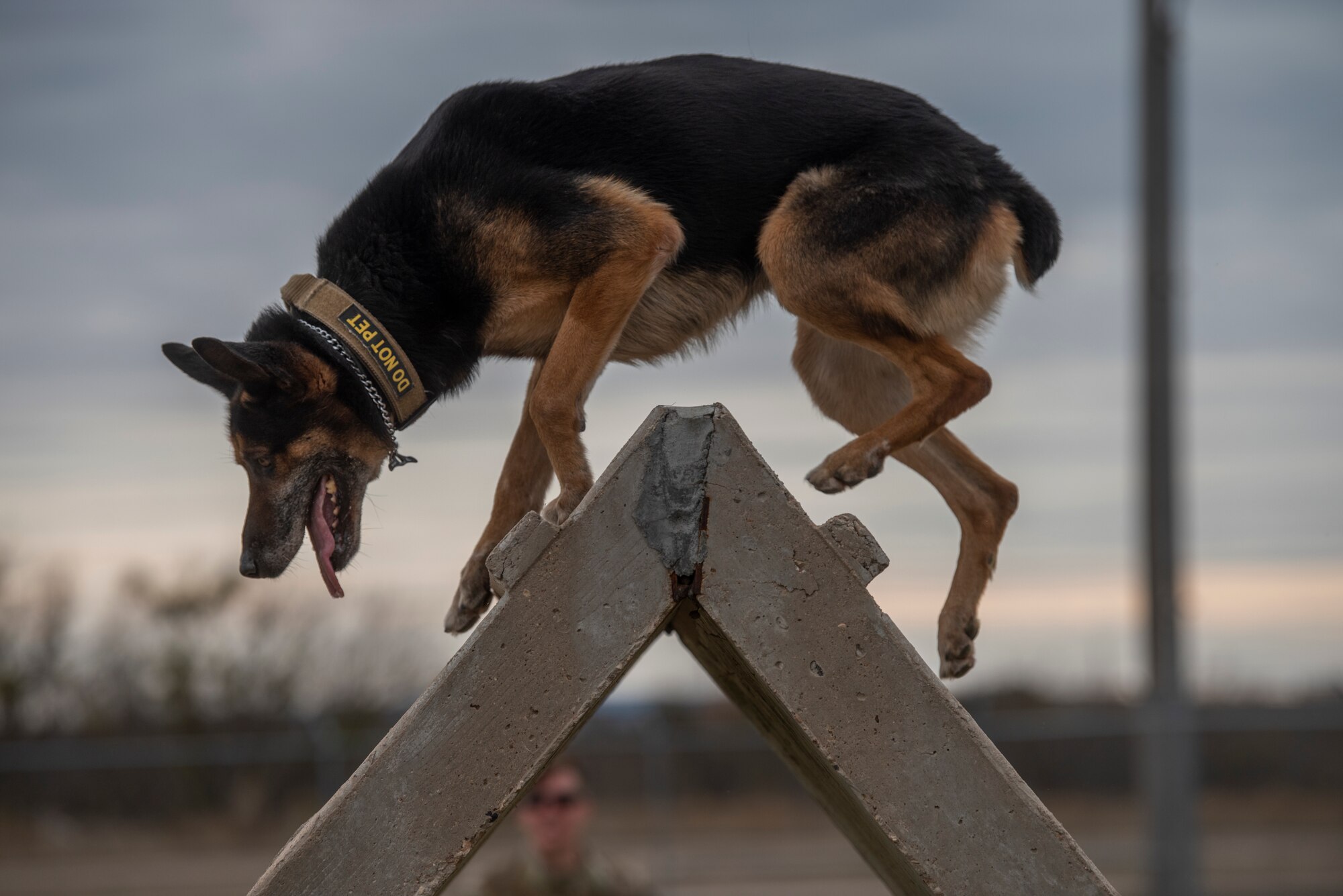 Airman Spotlight: MWD Fix