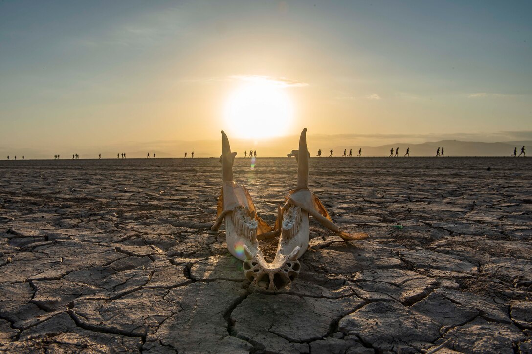 The remains of an animal jawbone lies on the ground as a group of people run in the background.