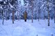 Below zero, above the rest