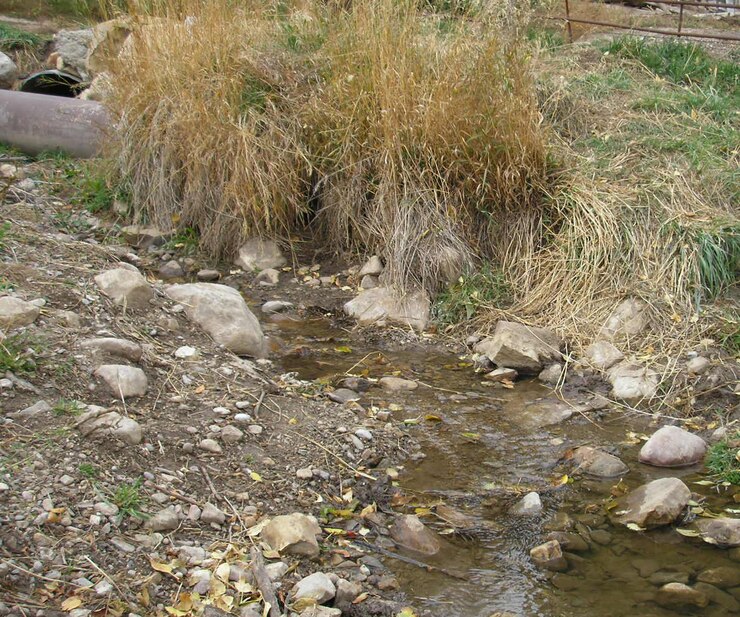 picture of a creek