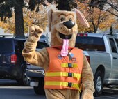 photo of Bobber the Safety Dog