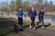 photo of people walking dog