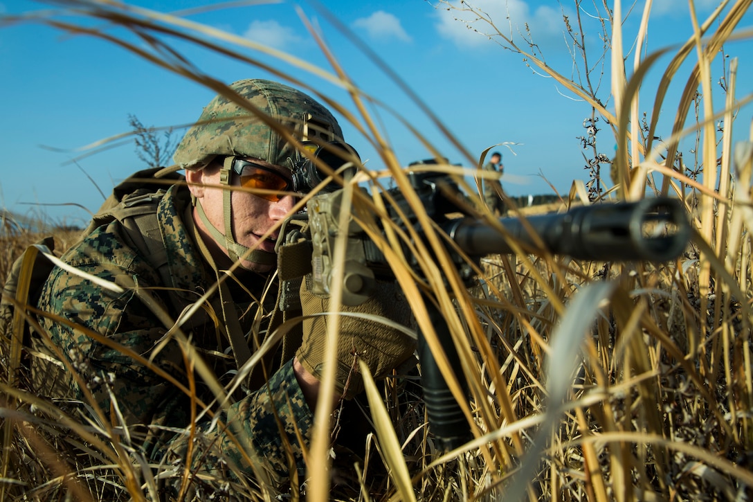 A Marine in the grass points a rifle.