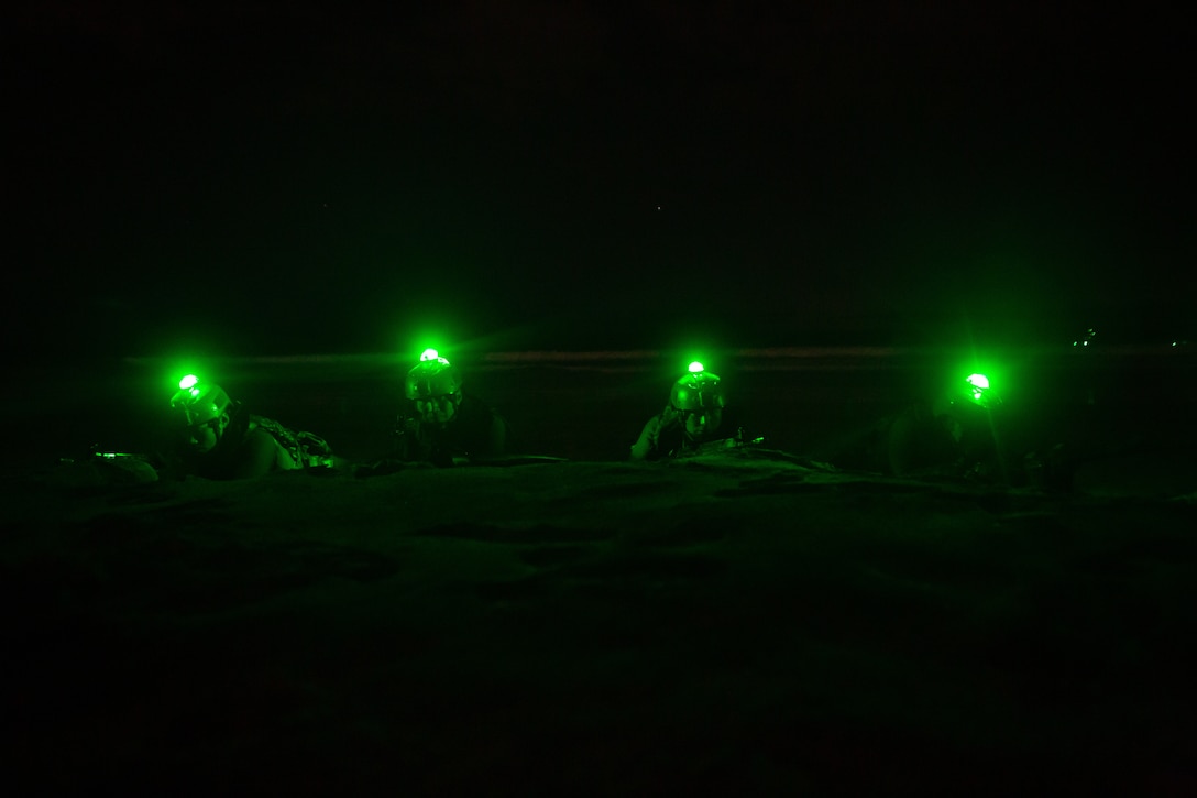 Iron Fist enhances opportunities for the Japan Ground Self-Defense Force and the U.S. Marine Corps to share expertise in the use of amphibious vehicles, combined arms and amphibious doctrine.