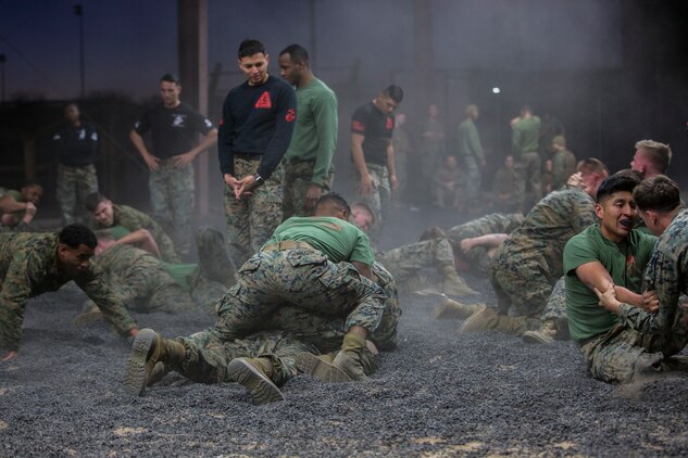 U.S. Marines assigned to Headquarters and Headquarters Squadron and Marine Aircraft Group 13 Corporals courses compete against each other in a grappling match on Marine Corps Air Station Yuma, Jan. 23, 2019. The match was conducted as the Marines morning physical training, as well as an opportunity to boost morale and comradery during a friendly competition. (U.S. Marine Corps photo by Lance Cpl John Hall)