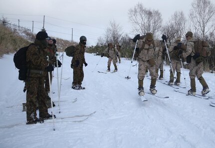 Any Clime, Any Place: Golf Company Marines with 2/3 Jump and Glide the Slopes for Northern Viper 2020