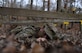 A U.S. Army Advanced Individual Training Soldier jumps over a hurdle during a field training exercise at Joint Base Langley-Eustis, Virginia, Jan. 24, 2020.