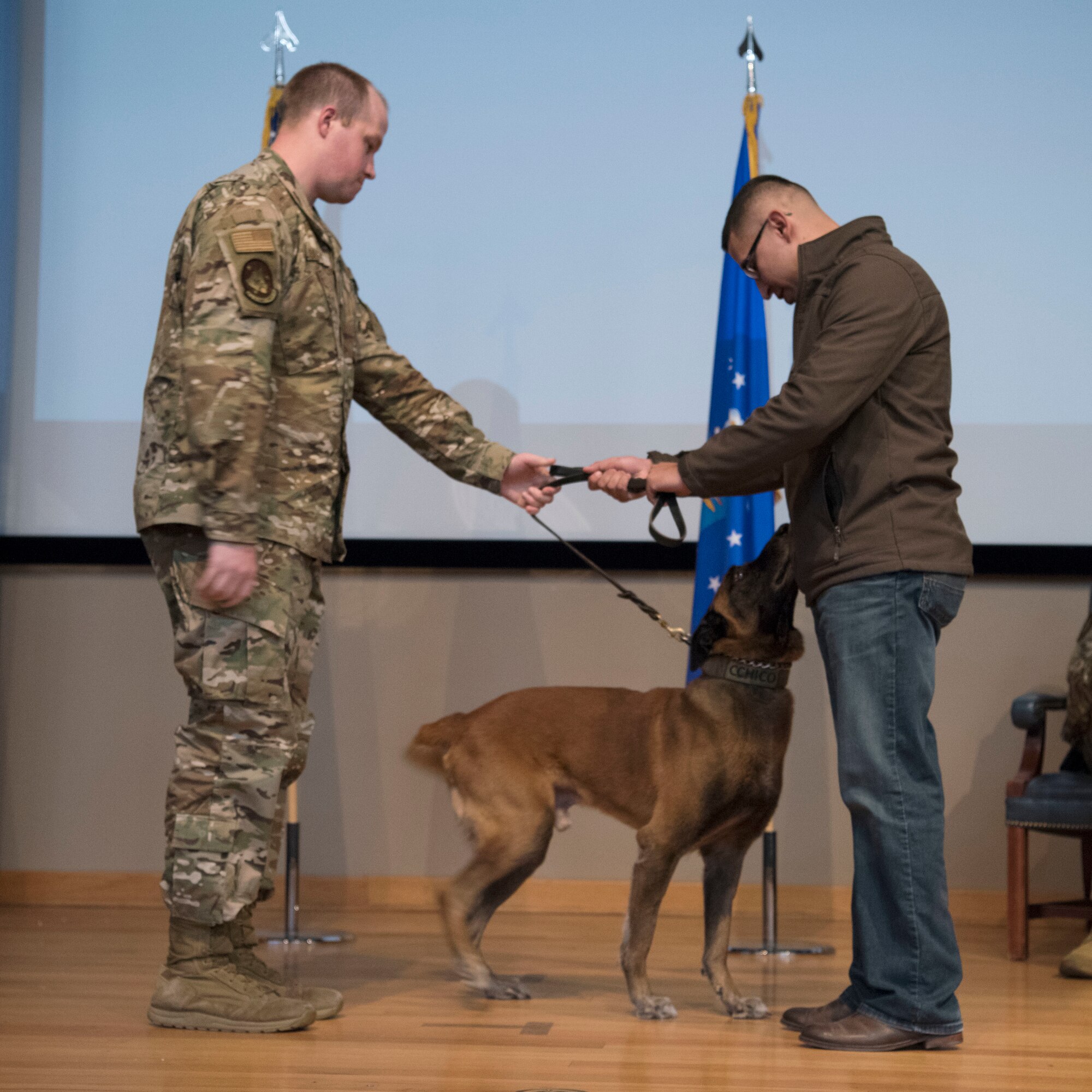 Military working dog Cchico, a retired 47th Security Forces Squadron military working dog, is officially passed from Staff Sgt. Keith Collett, a 47th SFS military working dog handler, to his new owner and second handler, Jorge Cervantes Melchor, a former U.S. Air Force Security Forces member, Jan. 28, 2020, at Laughlin Air Force Base, Texas. Melchor now works as an animal cruelty investigator for the Houston Society for the Prevention of Cruelty to Animals. (U.S. Air Force photo by Senior Airman John A. Crawford)