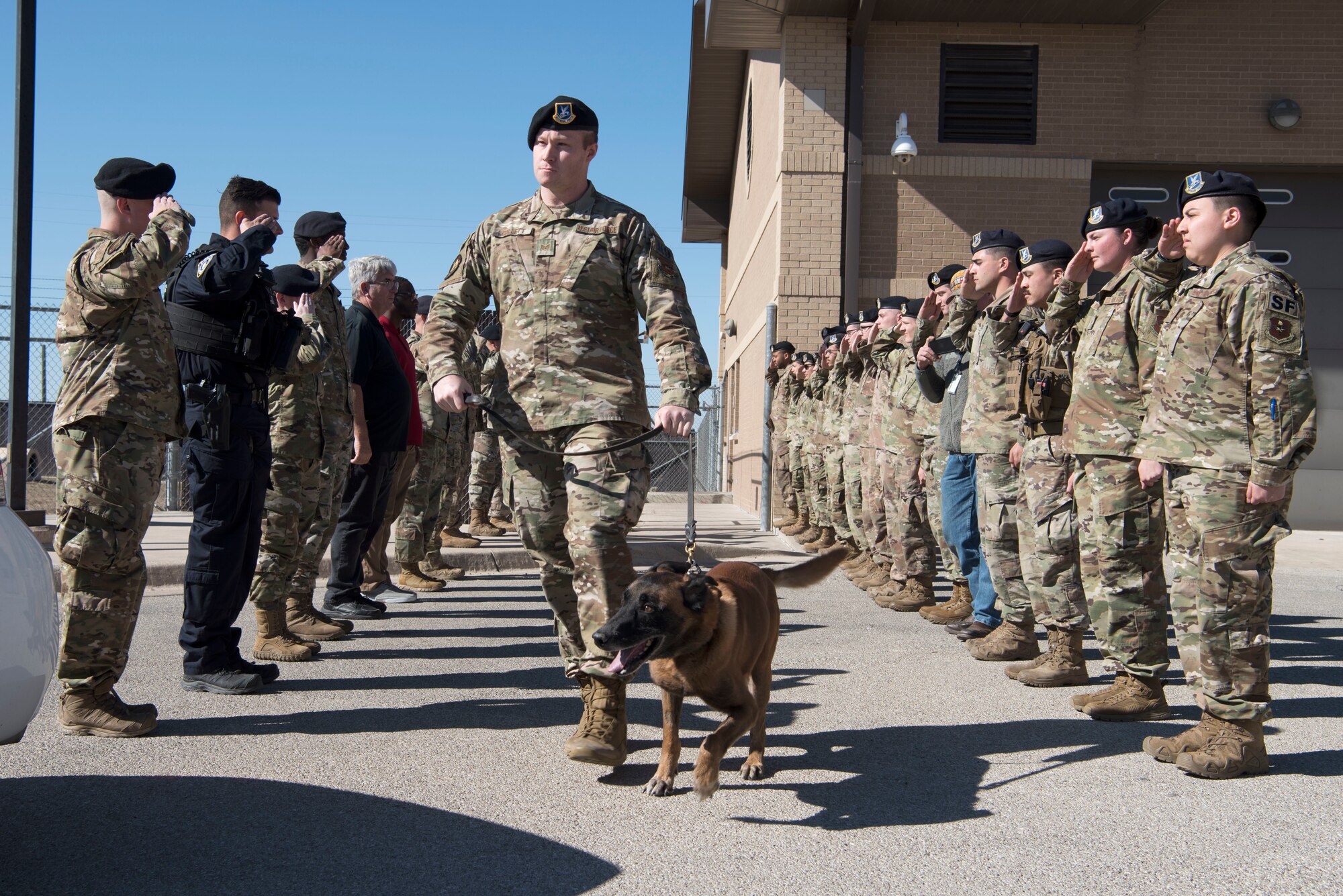 Members of the 47th Security Forces Squadron render a final salute to military working dog Cchico, a 47th SFS military working dog, as his handler Staff Sgt. Keith Collett, a 47th Security Forces Squadron military working dog handler, escorts him to a waiting cruiser Jan. 28, 2020, at Laughlin Air Force Base, Texas. MWD Cchico was officially retired from the U.S. Air Force after 10 years, or 70 dog years of honorable service. (U.S. Air Force photo by Senior Airman John A. Crawford)
