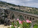 Flowers grow out of the cliff side near the Varda Bridge