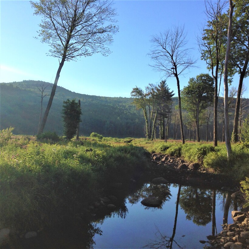 Otter Brook Lake