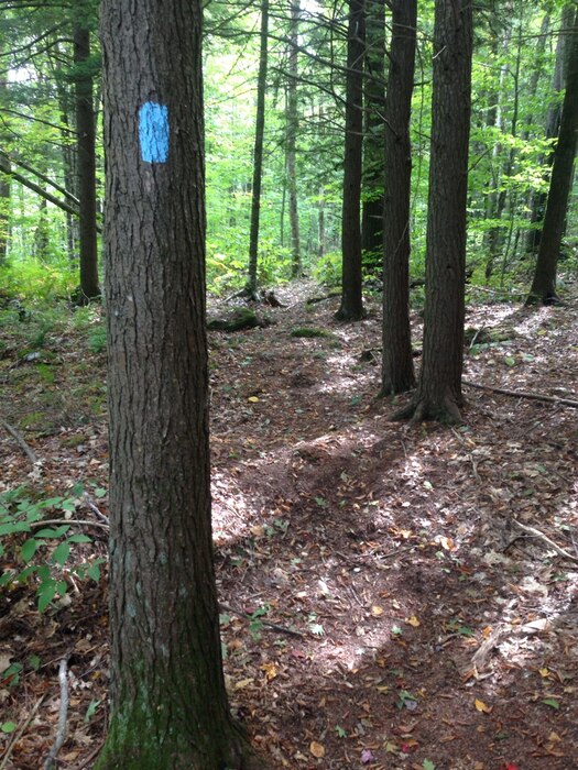 Otter Brook Lake