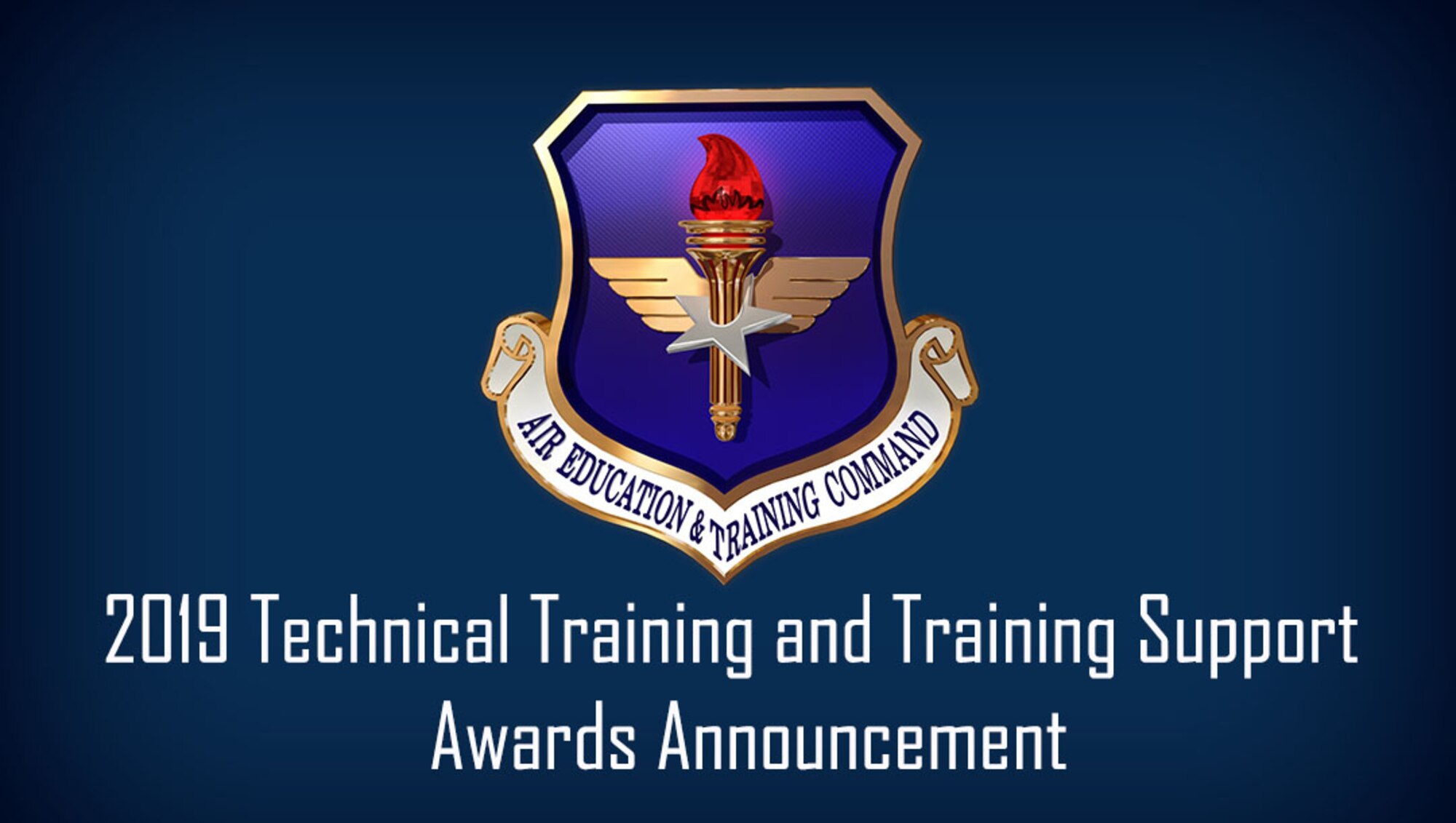 Air Education and Training Command's technical training awards recognize the exceptional performance of units, instructors and flight commanders and flight chiefs in formal schools that teach officially designated technical training courses. The training support awards recognize the exceptional performance of units and personnel who perform duties in technical training specific to support functions, such as career development course writers, training managers, training development element chiefs, and training evaluators. (U.S. Air Force graphic / Dan Hawkins)