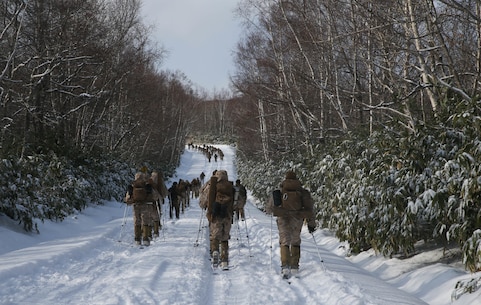 U.S. Marines from Golf Company, 2nd Battalion, 3rd Marine Regiment, 3rd Marine Division, conduct bilateral ski patrol training with Soldiers from 5th Brigade, Japan Ground Self-Defense Force (JGSDF), during exercise Northern Viper on Hokudaien Training Area, Hokkaido, Japan, Jan. 24, 2020. Northern Viper is a regularly scheduled training exercise that is designed to enhance the collective defense capabilities of the U.S. and Japan Alliance by exposing members of both forces to intense training in an austere environment, allowing them to perfect their skills in any clime and place. (U.S. Marine Corps Photo By Cpl. Cameron E. Parks)
