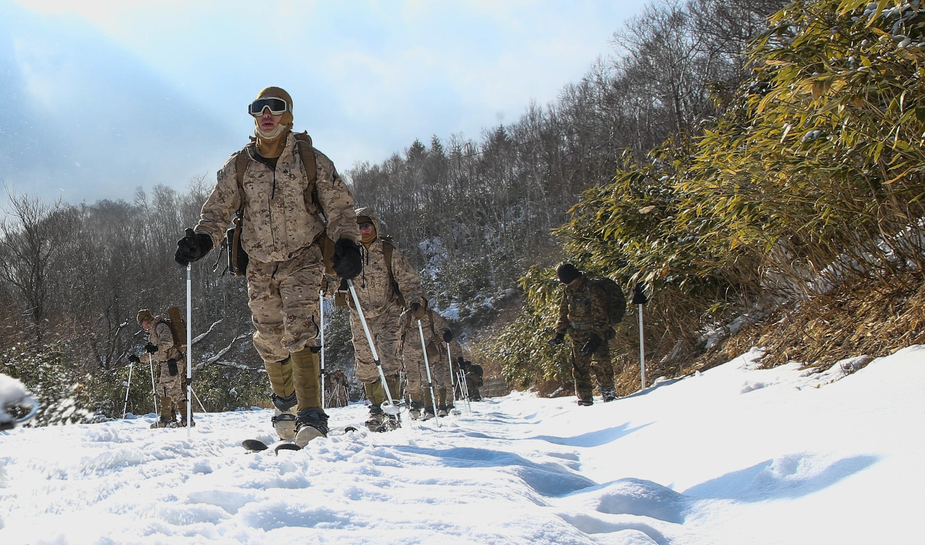 U.S. Marines from Golf Company, 2nd Battalion, 3rd Marine Regiment, 3rd Marine Division, conduct bilateral ski patrol training with Soldiers from 5th Brigade, Japan Ground Self-Defense Force (JGSDF), during exercise Northern Viper on Hokudaien Training Area, Hokkaido, Japan, Jan. 24, 2020. Northern Viper is a regularly scheduled training exercise that is designed to enhance the collective defense capabilities of the U.S. and Japan Alliance by exposing members of both forces to intense training in an austere environment, allowing them to perfect their skills in any clime and place. (U.S. Marine Corps Photo By Cpl. Cameron E. Parks)