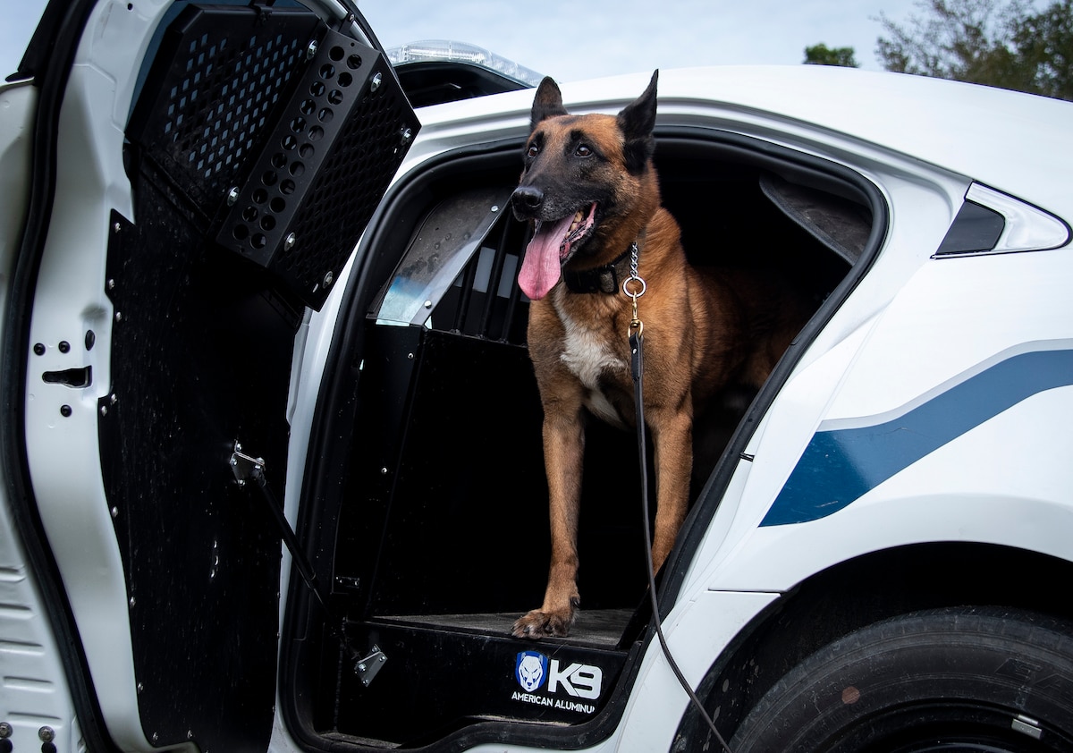 Door opener adds surprise lethality for K9 unit > Hill Air Force Base >  Article Display