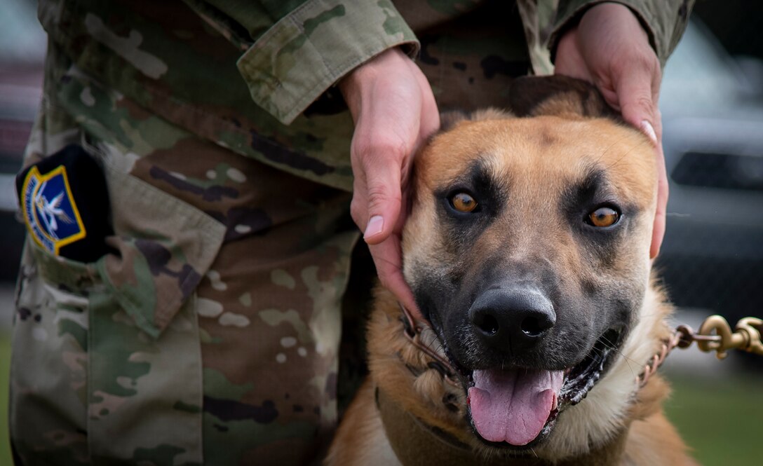 Door opener adds surprise lethality for K9 unit