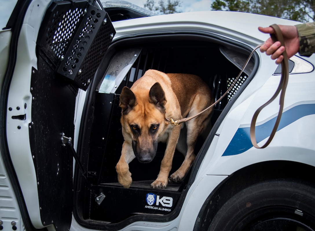 Door opener adds surprise lethality for K9 unit