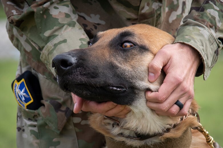 Door opener adds surprise lethality for K9 unit