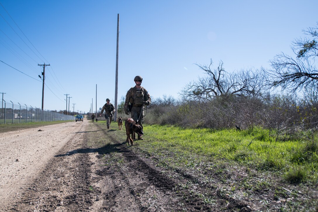U.S. Air Force Security Forces military working dog handlers take part in the Air Education and Training Command Defender Challenge team tryout at Joint Base San Antonio-Medina Annex, Texas, Jan. 28, 2020. The five-day selection camp includes a physical fitness test, M-9 and M-4 weapons firing, the alpha warrior obstacle course, a ruck march and also includes a military working dog tryout as well. A total of 27 Airmen, including five MWD handlers and their canine partners, were invited to tryout for the team. The seven selectees to the AETC team will represent the First Command at the career field’s world-wide competition that will be held at JBSA-Camp Bullis in May 2020. (U.S. Air Force photo by Sarayuth Pinthong)