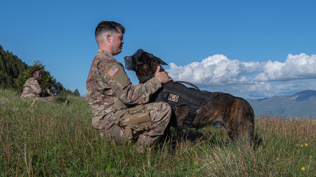 KFOR RC-E Military Working Dog's elements conduct Aerial training