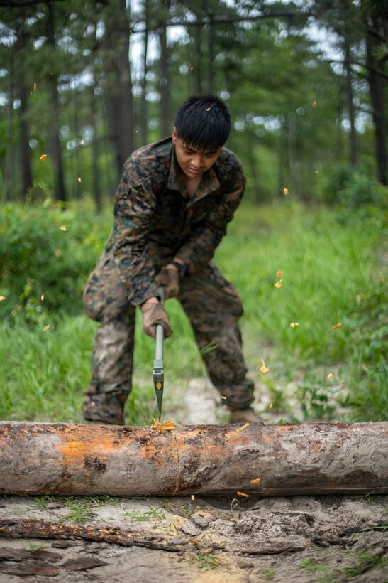 Sgt. Brian Pham, a combat engineer with Special Purpose Marine Air-Ground Task Force - Southern Command, splits a log in half during a field exercise at Camp Lejeune, North Carolina, June 9, 2020. The FEX provides the Marines and Sailors the opportunity to stay proficient with their equipment and refine their tactical skill sets. SPMAGTF-SC is poised to conduct crisis response, general engineering training and theater security cooperations alongside partner nation militaries in Latin America and the Caribbean. Pham is a native of Beaverton, Oregon. (U.S. Marine Corps photo by Sgt. Andy O. Martinez)