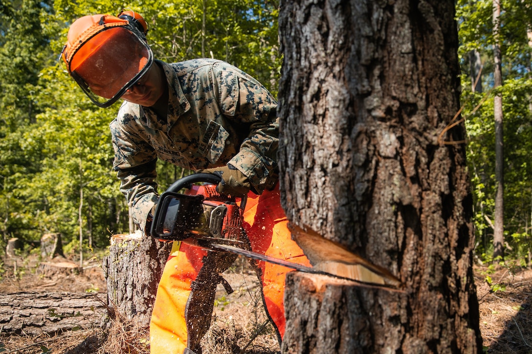 A U.S. Marine cuts a notch into a tree during a chainsaw training event at Camp Johnson, N.C., June 24.