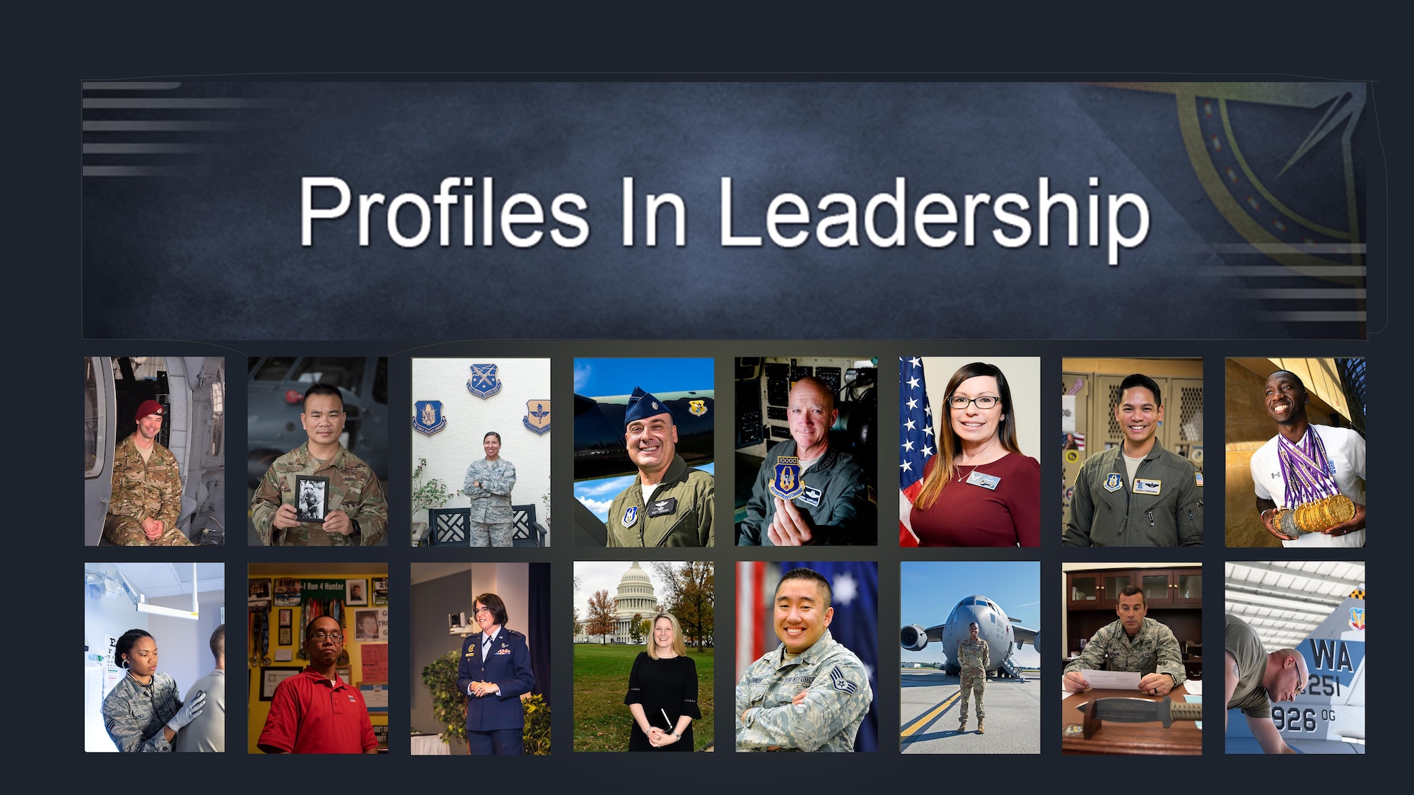Profiles in Leadership Volume V collective graphic which links to page displaying full posters
