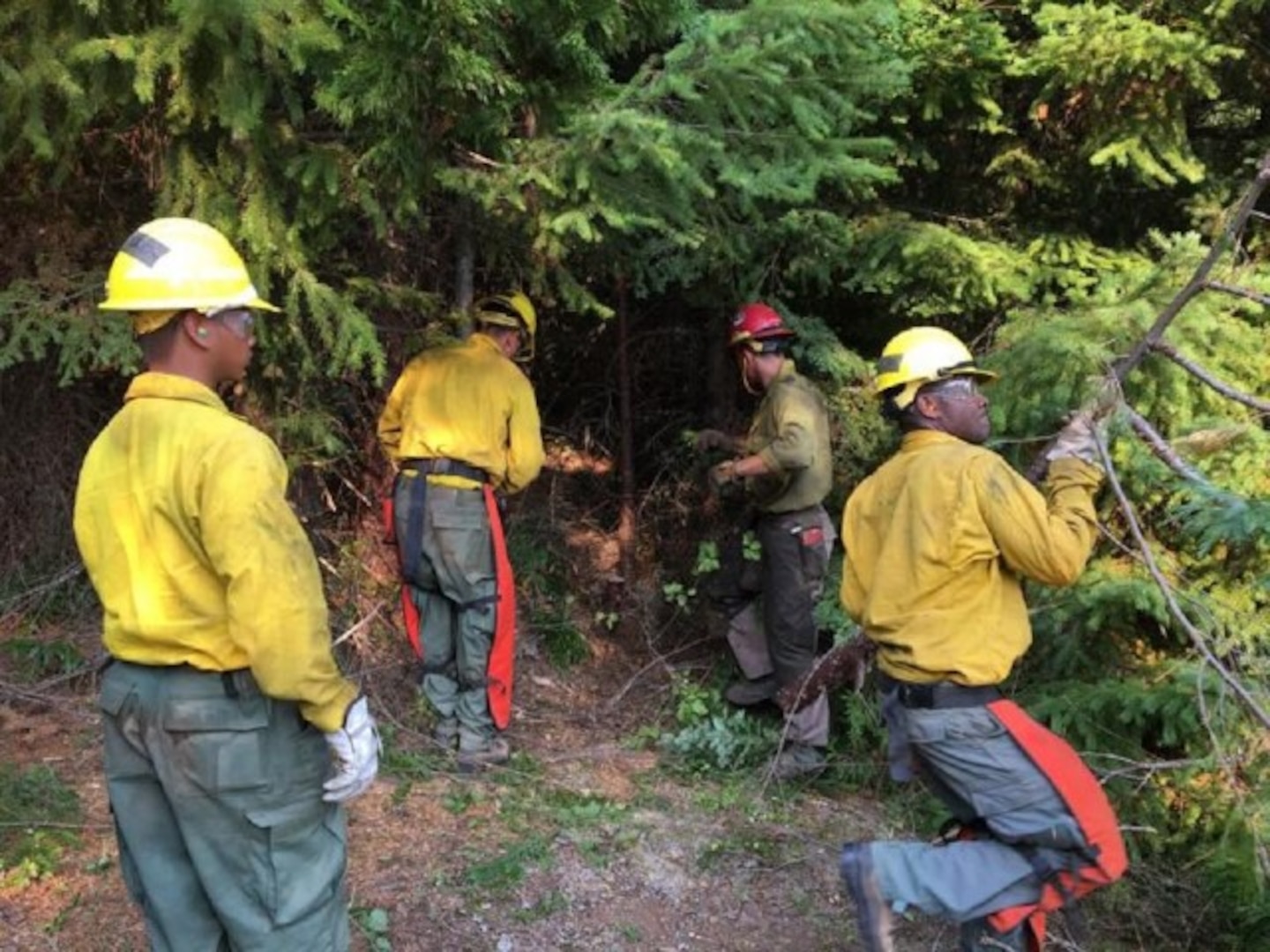 Several U.S. Army Soldiers clear brush in support of wildland firefighting efforts by the National Interagency Fire Center. Over the last three years, U.S. Army North has deployed forces to support wildland fires in Mendocino, California, and in Roseburg, Oregon.