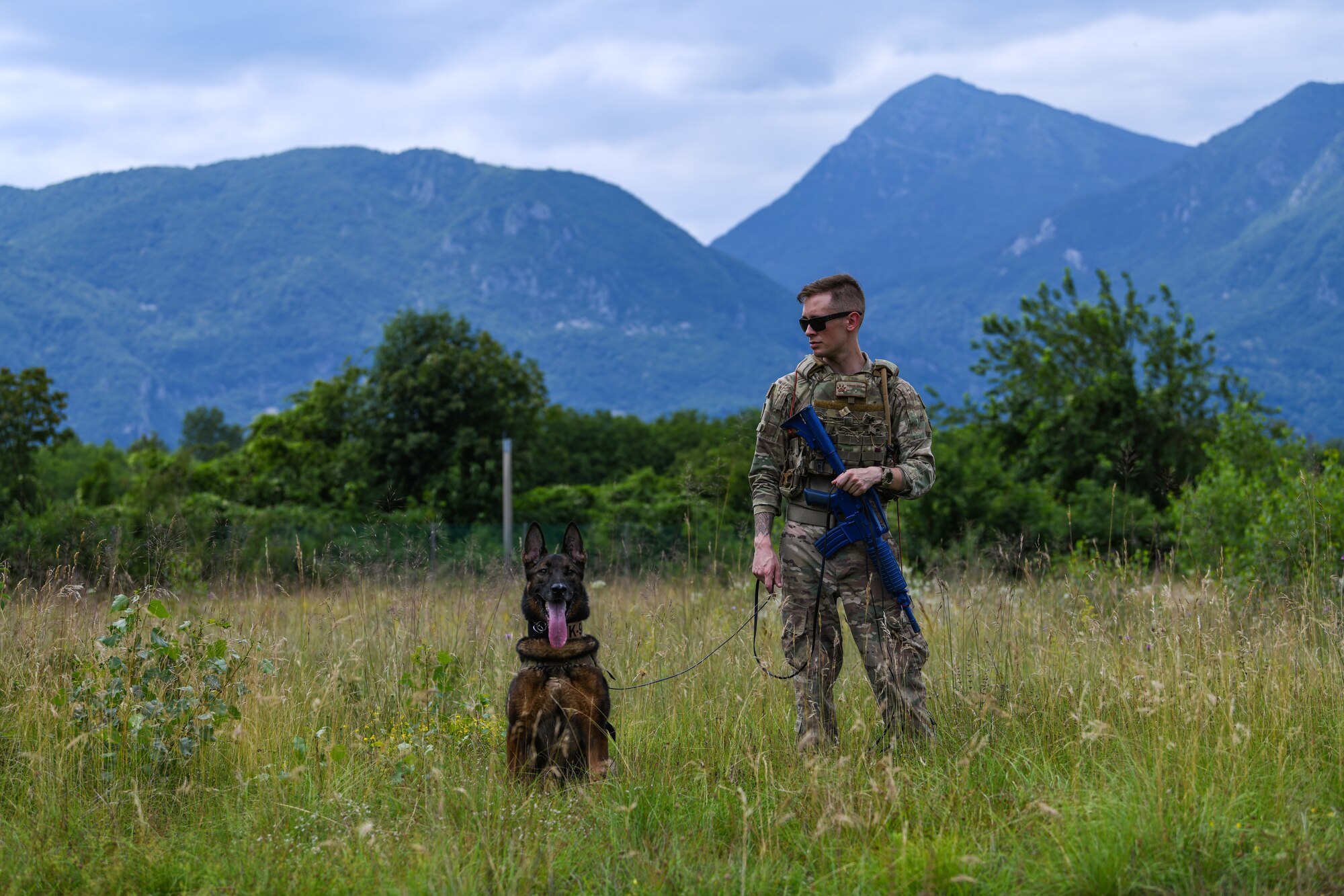 U.S. Air Force Staff Sgt. Benjamin Howard, 31st Security Force Squadron military working dog handler and his K-9 counterpart, Kay, surveils the landscape during Operation Porcupine, June 30, 2020 at Osoppo, Italy. The 31st SFS maintains installation force protection during peacetime and wartime operations within eight separate base areas. (U.S. Air Force photo by Airman 1st Class Ericka A. Woolever)